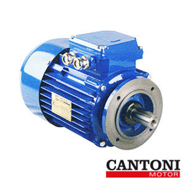 Imagen de Motores Eléctricos con brida B14 - Cantoni.