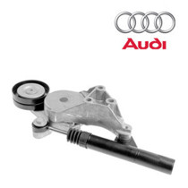 Imagen de Tensores y poleas para AUDI.